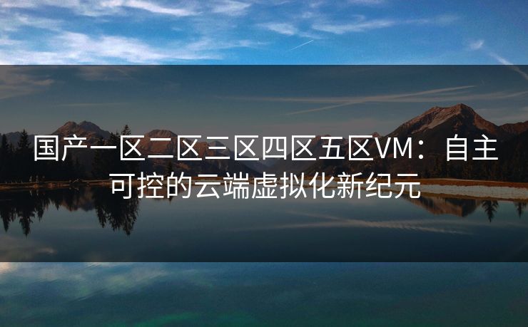 国产一区二区三区四区五区VM：自主可控的云端虚拟化新纪元