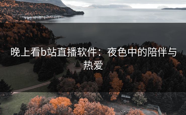晚上看b站直播软件：夜色中的陪伴与热爱
