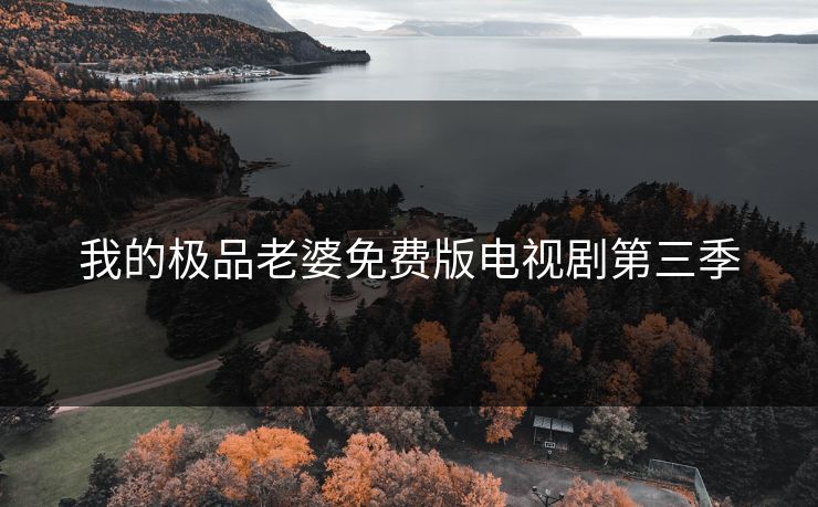 我的极品老婆免费版电视剧第三季